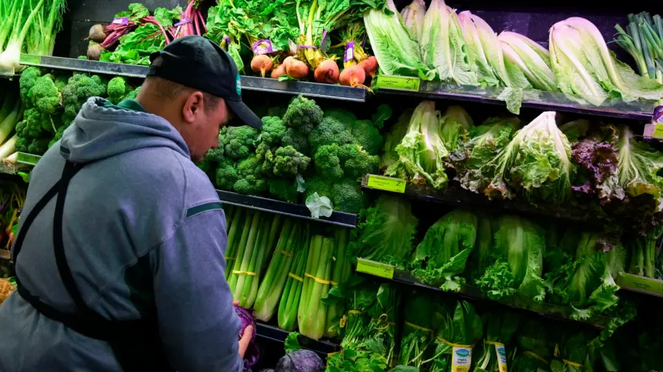 Lettuce Prices Crash 16% as Cyclospora Outbreak Drives Record Demand Collapse