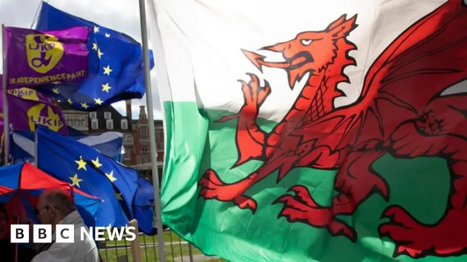 Plaid Cymru urges Burnham to commit to EU rejoin now, not at next election