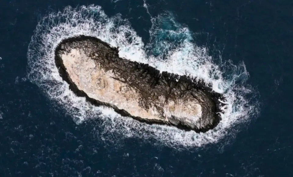 Storm-Struck Antarctic Mission Uncovers Uncharted Island in the Weddell Sea