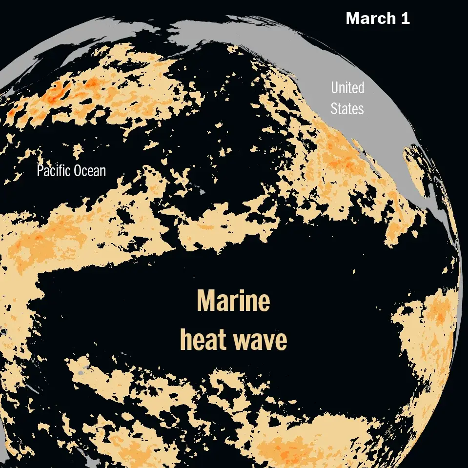 Five-thousand-mile Pacific heat wave could reshape U.S. summer weather