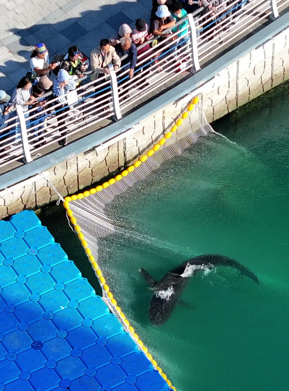 Bukang-i returns to Busan canal hours after failed release attempt