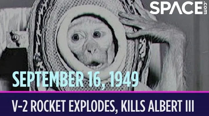 Albert III’s 1949 V-2 Flight: A Tragic Step in Early Space Biology