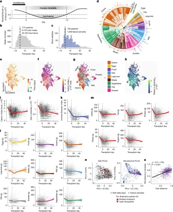 Study Links Sugar Intake to Worsened Gut Microbiome Damage During Antibiotic Treatment