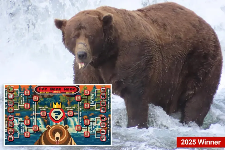 Fat Bear Week returns: meet the contenders and cast your vote
