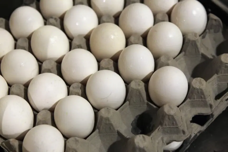 FDA raises egg recall to Class I amid salmonella concerns across states