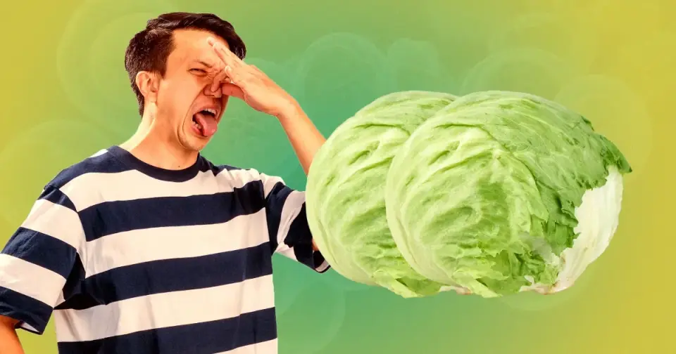 Cyclosporiasis Outbreak Crashes Lettuce Prices, Sparks Political Scrutiny