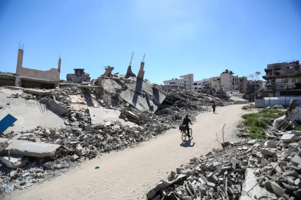Venice4Palestine Coalition Demands Concrete Action and Flag Display at 2026 Film Festival