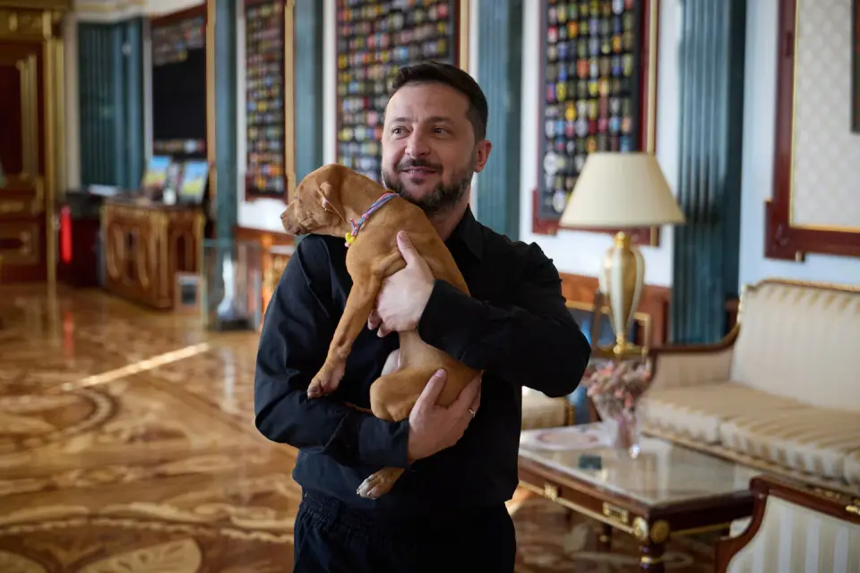 Zelensky Cuddles Freyja the Puppy Amid Ukraine War
