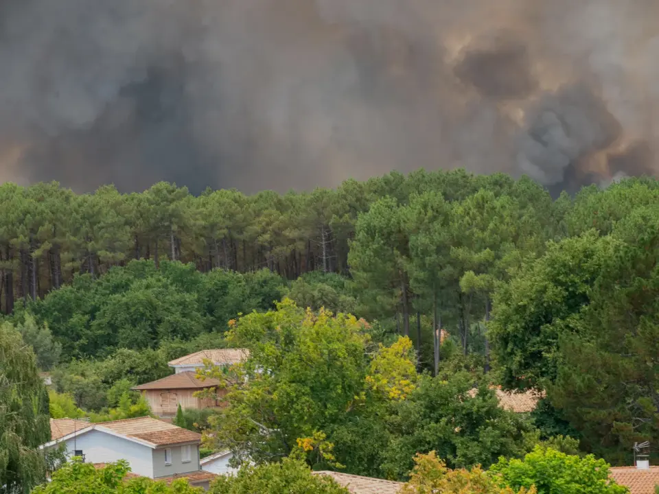 Thousands Evacuated as Wildfires Rage Near Bordeaux Region