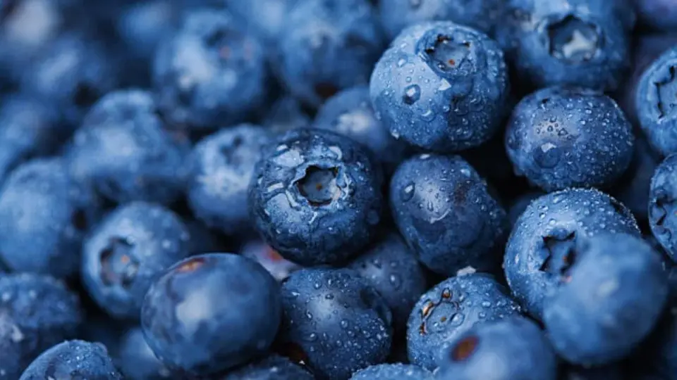 Frozen Berry Recall Expands to Ohio, Kentucky, and Indiana