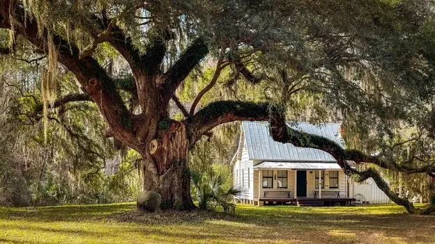 Gullah Geechee Corridor Marks 20 Years of Heritage Preservation Amid Climate Threats