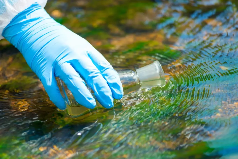 Avian parasite detected in Portugal's Lake Alqueva signals rising swimmer's itch risk