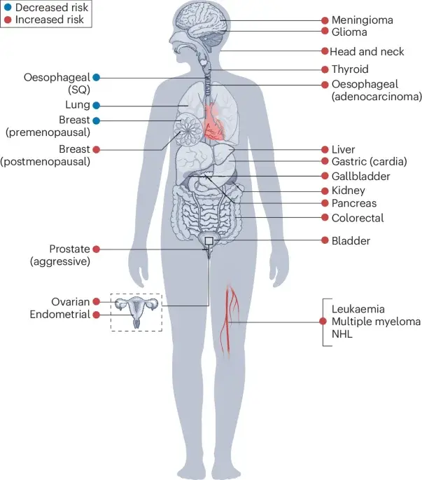 Fat and cancer: decoding mechanisms and a path to prevention