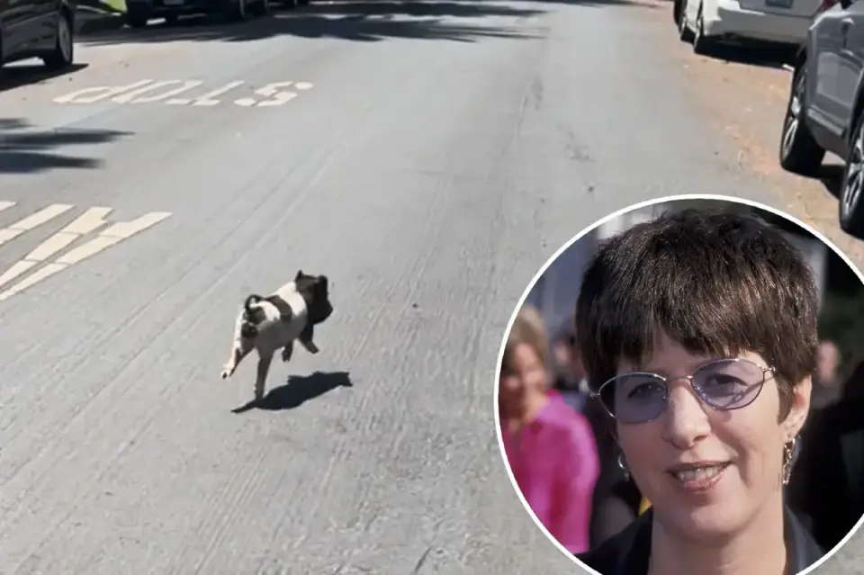 Diane Warren Rescues West Hollywood Runaway Piglet Wilbur