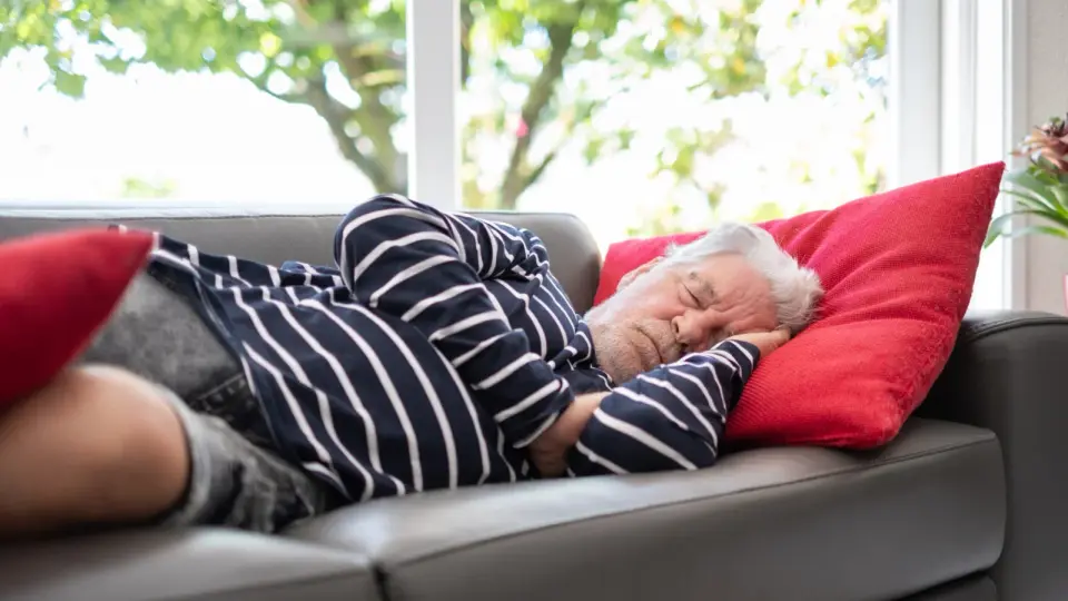 Frequent Morning Naps May Signal Hidden Health Risks in Seniors, Study Finds