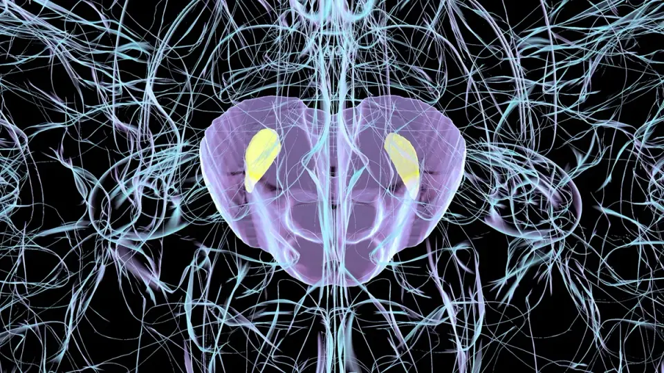 Virus Exposure Triggers Parkinson's-Like Brain Damage in Mice, Study Finds