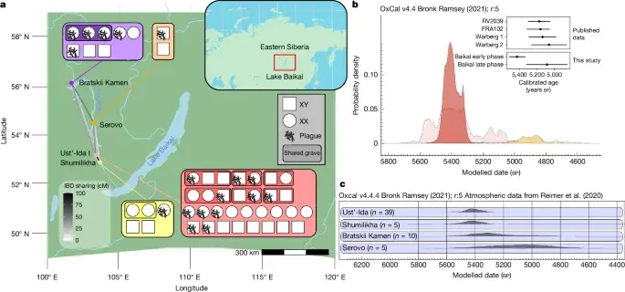 Ancient Baikal Plague Outbreaks Push Origins of Yersinia pestis Back to Mid-Holocene
