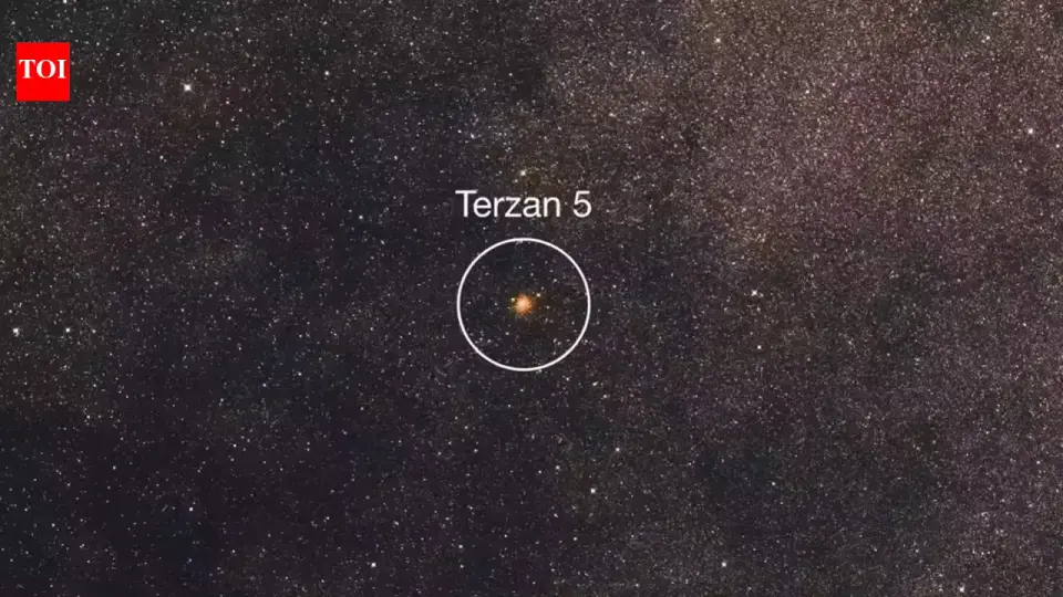Milky Way’s ancient core revealed: Terzan 5 as a bulge fossil fragment