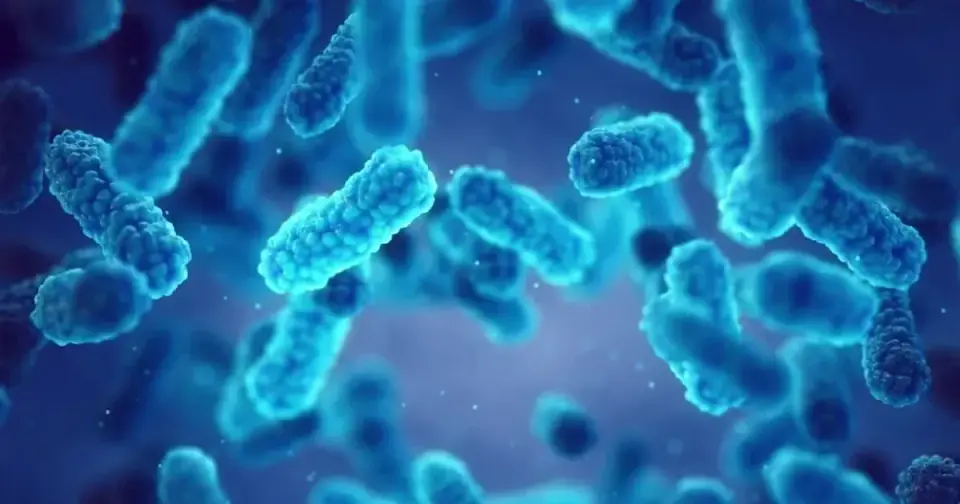 Georgia Sees Jump in Drug-Resistant Fungus Cases, CDC Reports