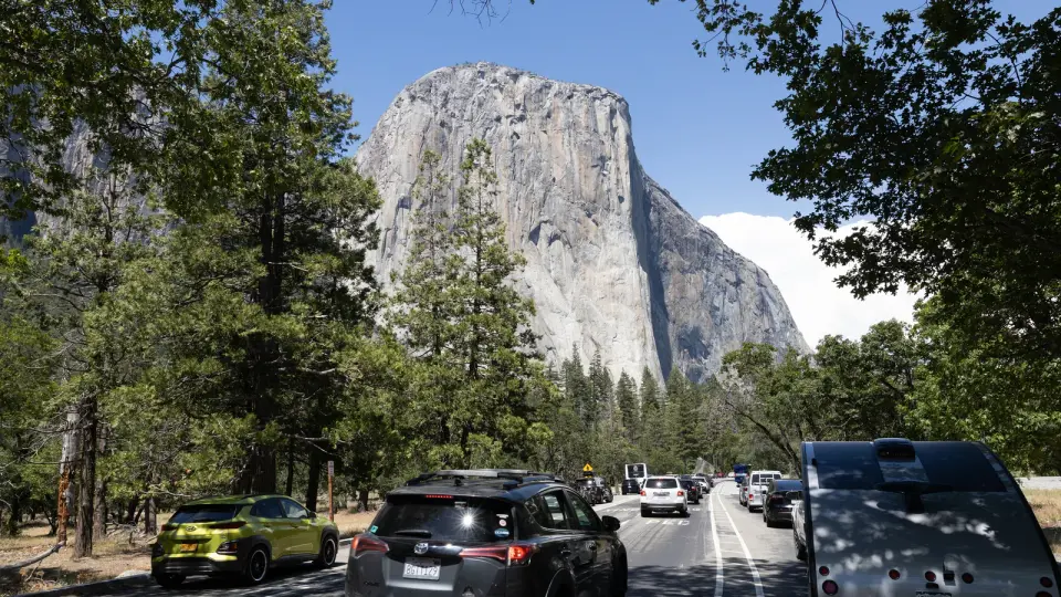 Prominent speed climber Whisenant dies in Sierra Nevada climbing incident