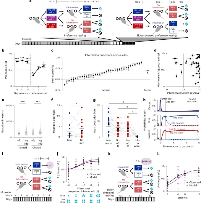 Mice Seek Knowledge: Orbitofrontal Cortex Encodes Intrinsic Information Value