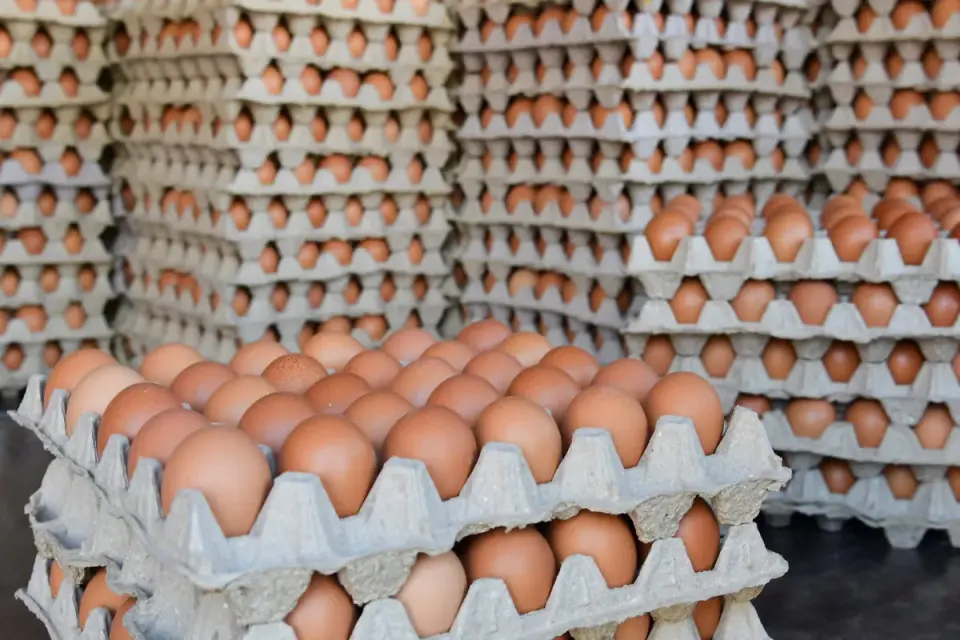 FDA escalates egg recall to top danger level over deadly salmonella risk