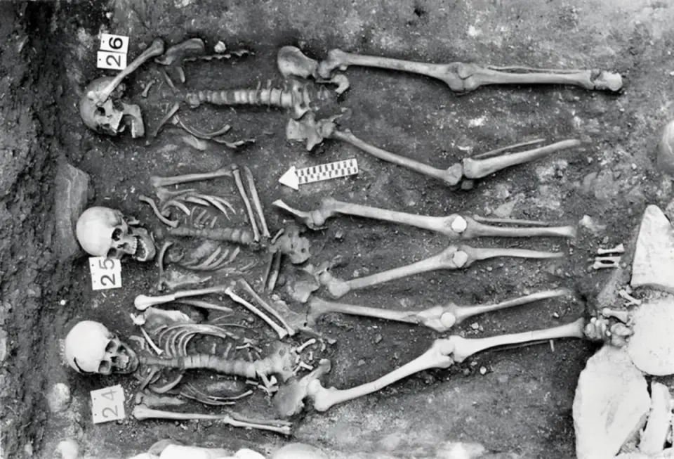Ancient DNA reveals recurring plague waves across Europe after the Black Death