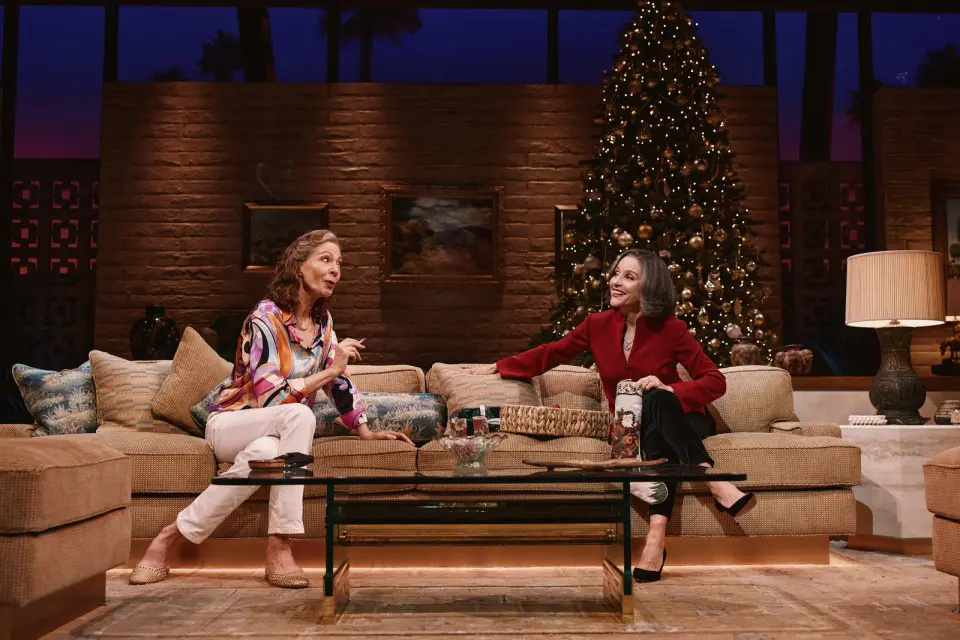 Julia Louis-Dreyfus’s Broadway Debut in 'Other Desert Cities' Divides Critics