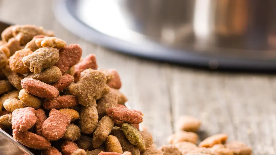 FDA Orders Recall of Northwest Naturals Frozen Pet Foods Over Contamination Risks