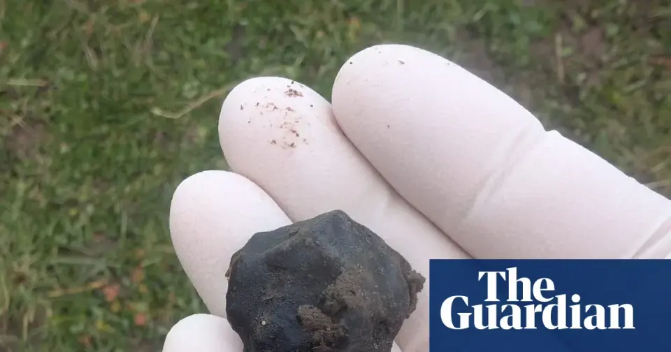 Sky fire to rock treasure: NZ’s 11th meteorite recovered by citizen scientists