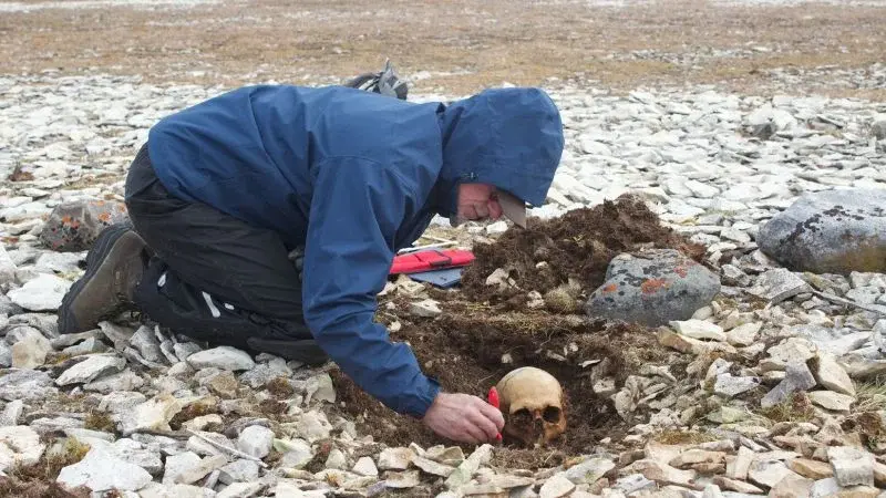 DNA ties Franklin expedition sailors to living descendants, naming four Erebus crew and one Terror sailor