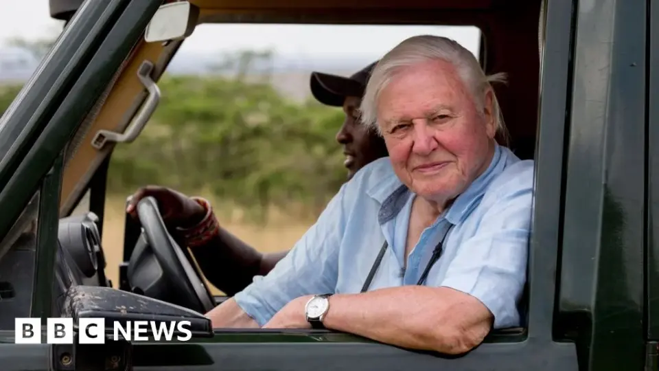 Attenborough’s Bristol: the birth of a global wildlife film hub