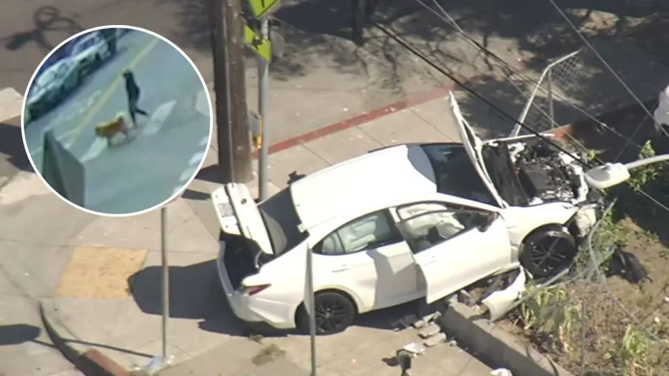Oakland toddlers steal car, crash into pedestrian leaving dog-walker critically injured