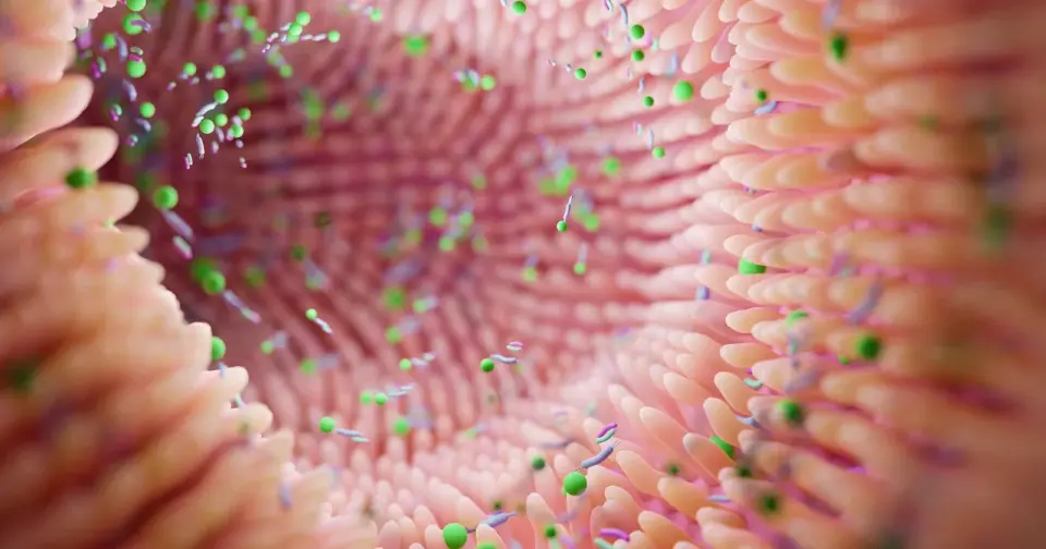 Debunking the 10:1 Bacteria Myth: Humans Are Closer to 1:1