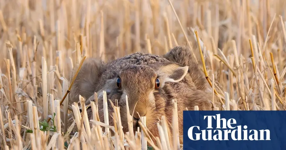 Readers' Best Photos: Eclipse Moments and Everyday Wildlife
