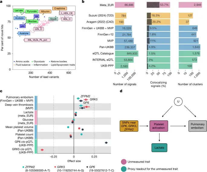 Massive GWAS maps 249 circulating metabolites to thousands of genetic signals in 619,372 individuals