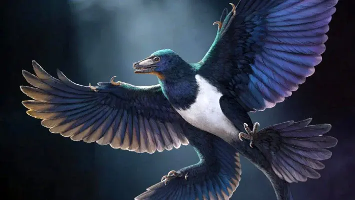 New Chinese Fossil Confirms Flight Evolved Independently in Birds and Dinosaurs