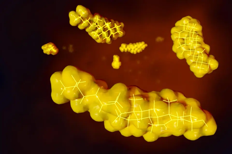 Scientific Breakthrough Aims to Cut LDL Particles by Blocking ApoB Production