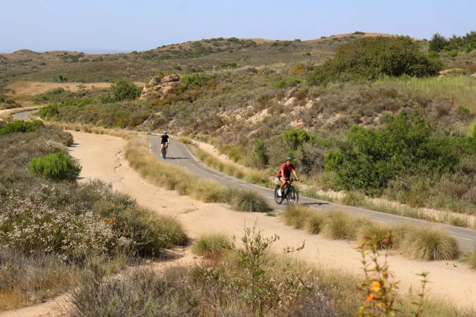 Irvine rattlesnake bite tragedy spurs renewed trail-safety warnings