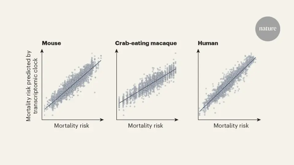 RNA clocks forecast aging and mortality across mammals