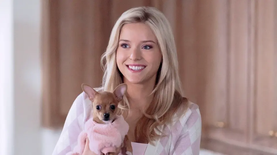 Elle Woods Origins Struggle to Capture Legally Blonde’s Spark on Prime Video
