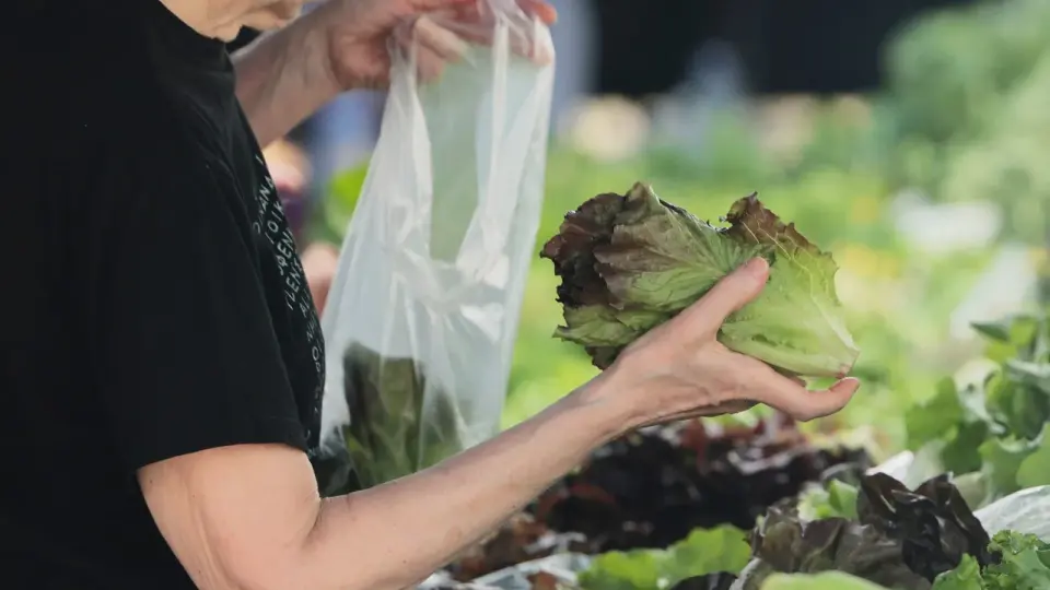 Cyclospora Outbreak Triggers National Salad Boycott and Farming Crisis
