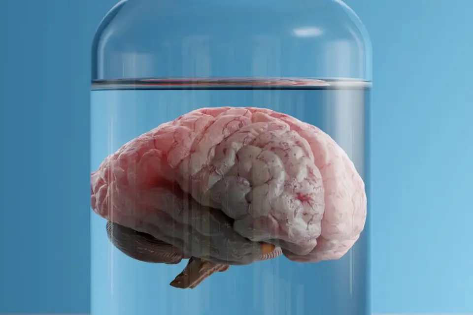 SpaceX CRS-35 Delivers Miniature Human Organs to ISS for Aging Research