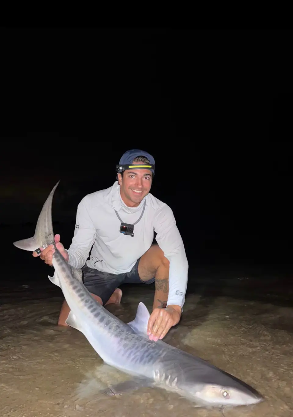 Cape Cod brothers reel in tiger shark off Falmouth beach