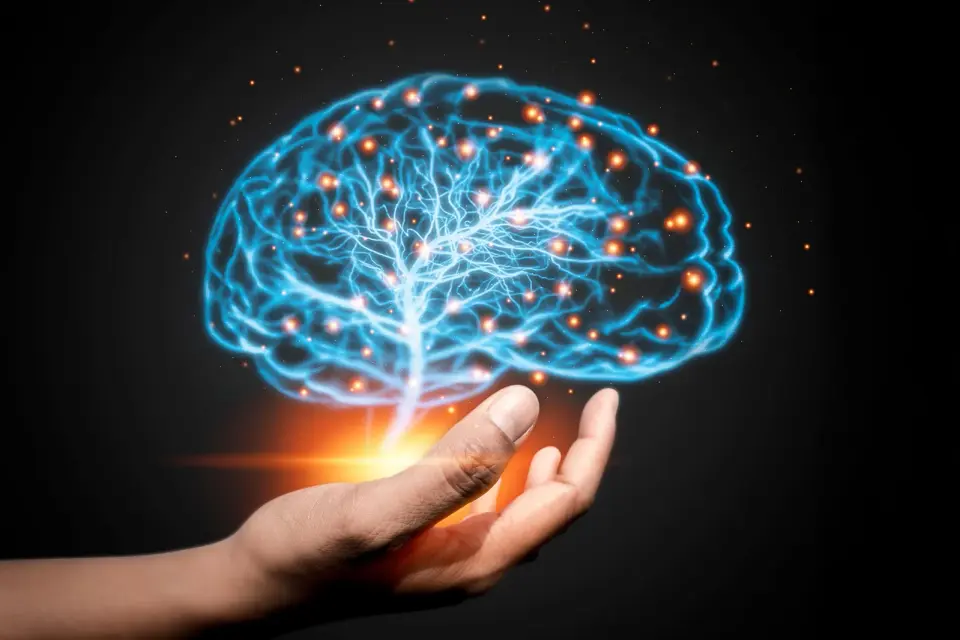 Brain Health Can Improve at Any Age, Large-Scale Study Finds