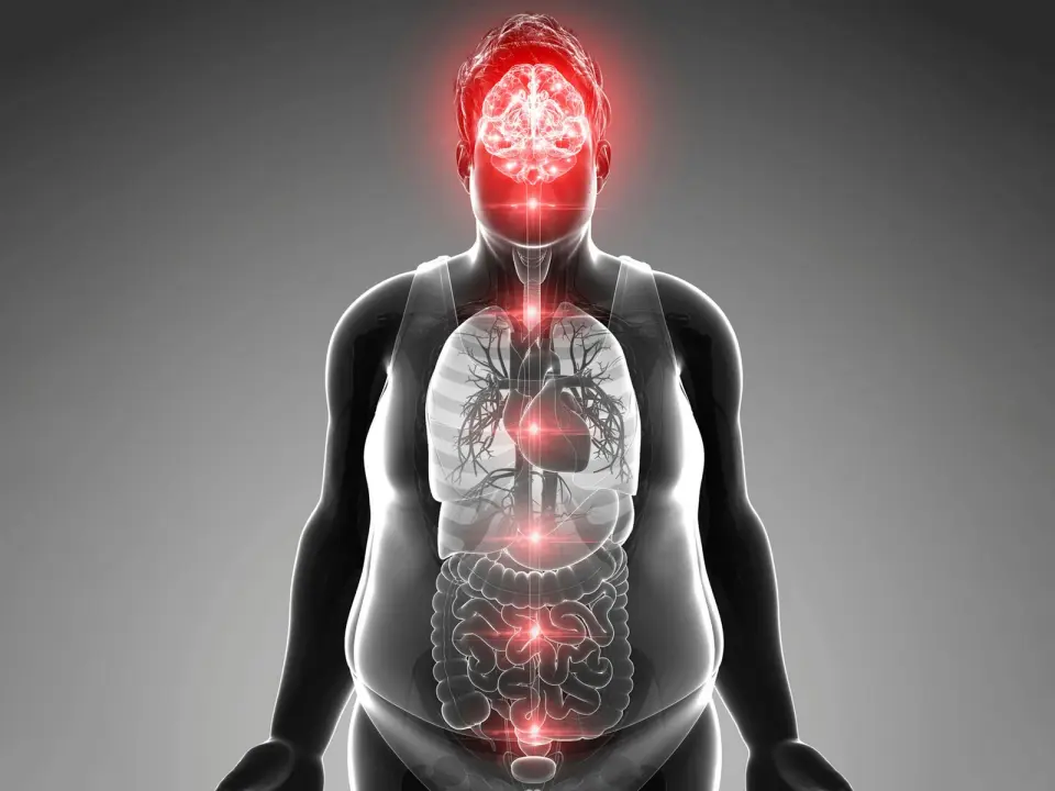 Natural Hormone FGF21 Rewires the Brain to Fight Obesity