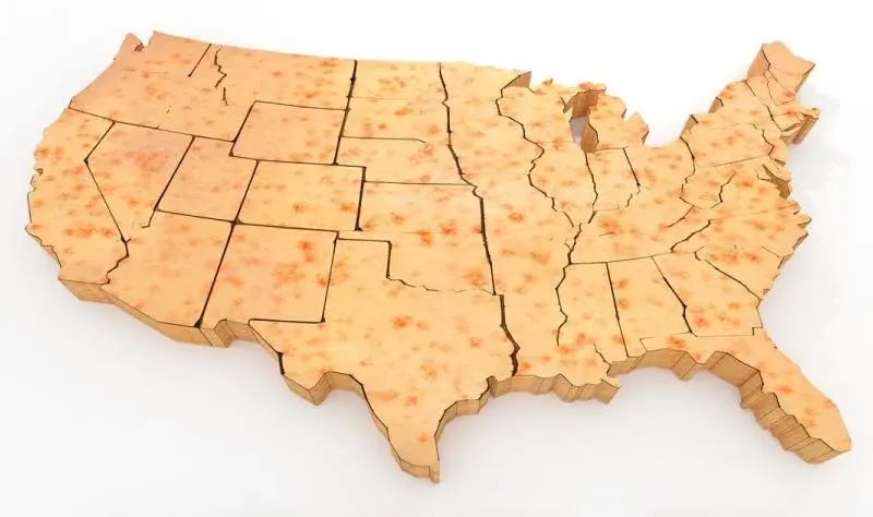US measles elimination is effectively lost; revival depends on vaccines and robust surveillance