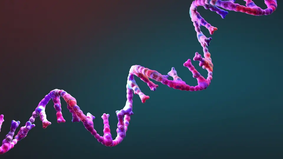 A Tiny RNA Enzyme Edges the RNA World Toward Self-Replication