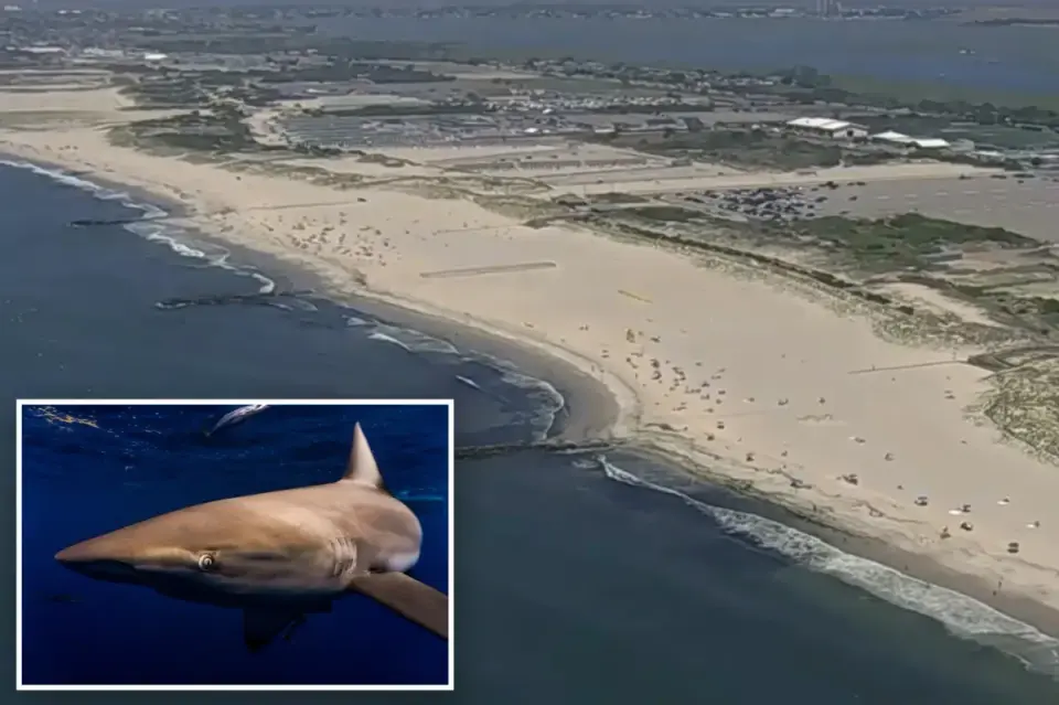 Massive 9-foot shark halts Long Island beach day