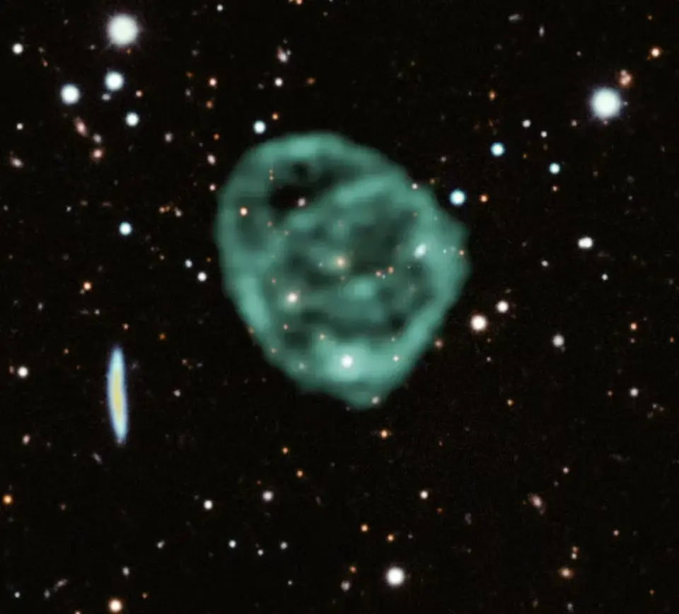 Giant Unexplained Radio Rings Hint at a New Class of Cosmic Structures